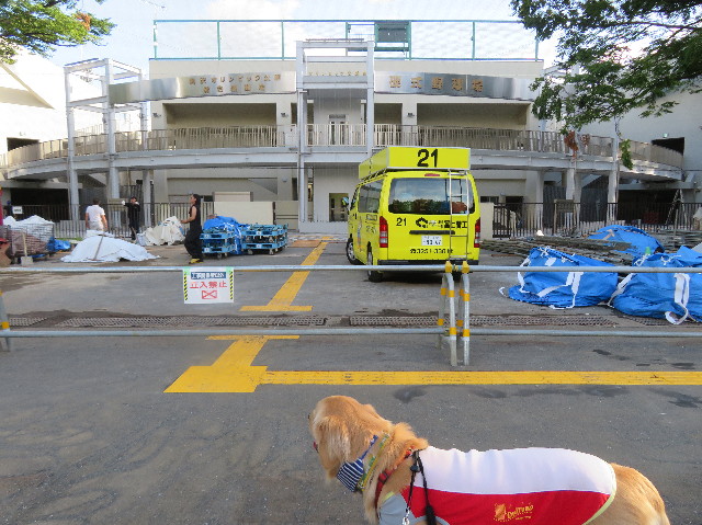 ファイル 7265-3.jpg