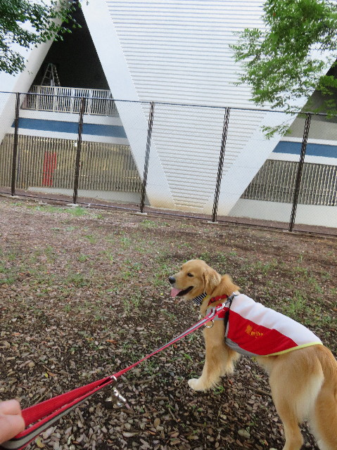 ファイル 7265-5.jpg