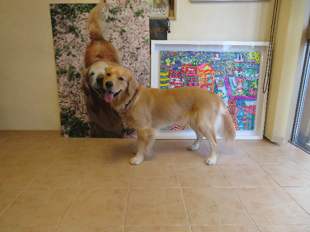 ファイル 7270-3.jpg