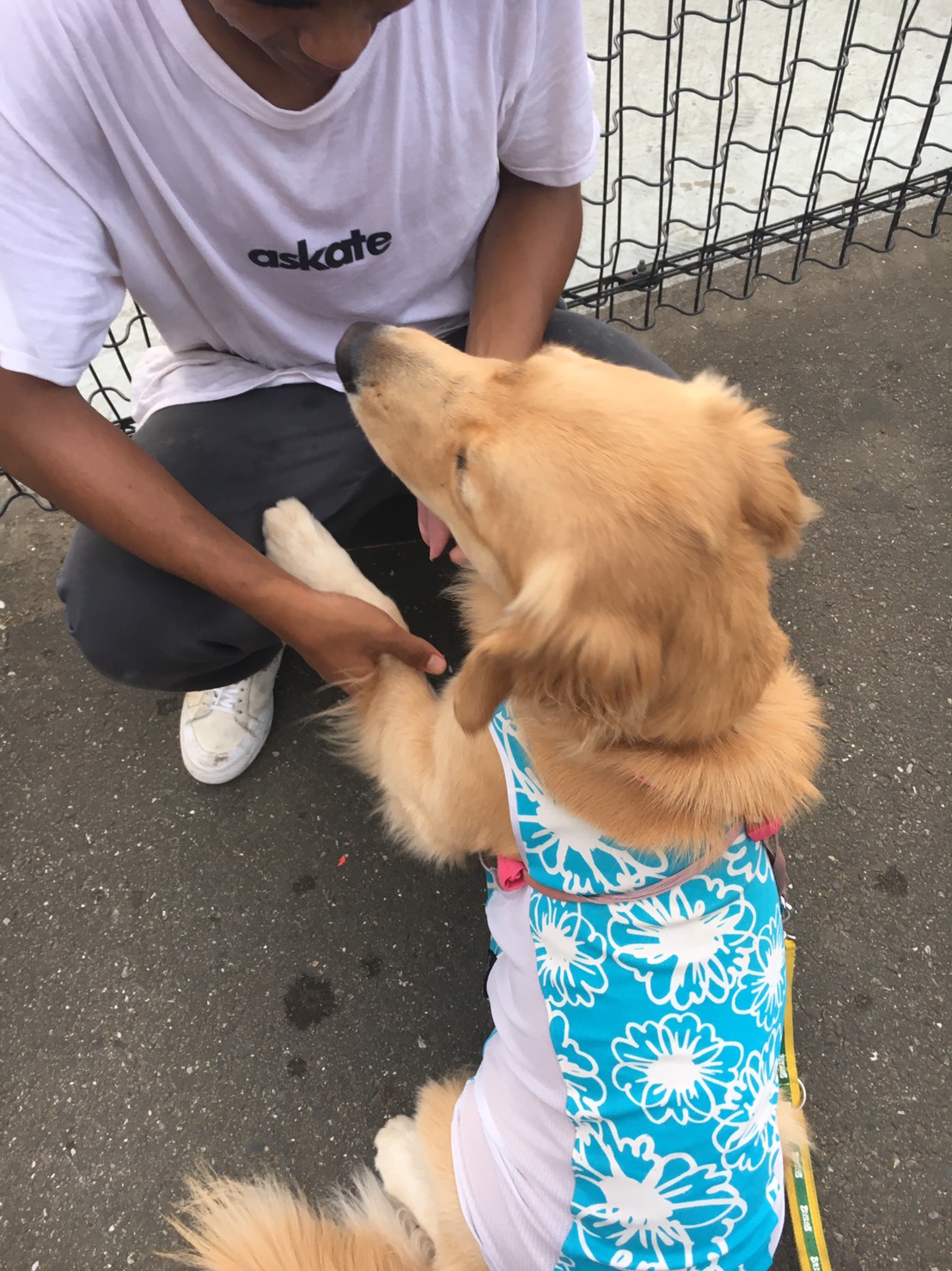 ファイル 7270-5.jpg