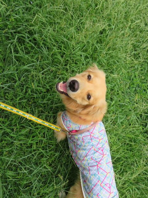 ファイル 7272-3.jpg