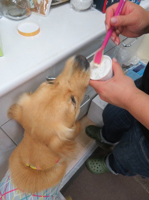 ファイル 7272-4.jpg