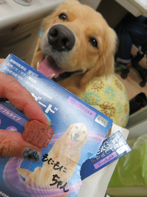 ファイル 7272-5.jpg