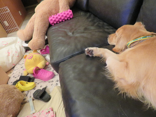 ファイル 7273-4.jpg