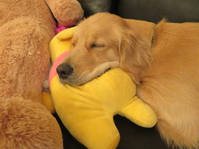 ファイル 7273-5.jpg