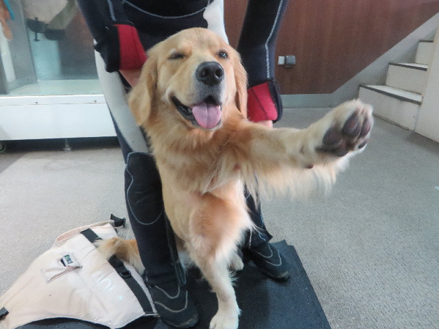 ファイル 7274-2.jpg