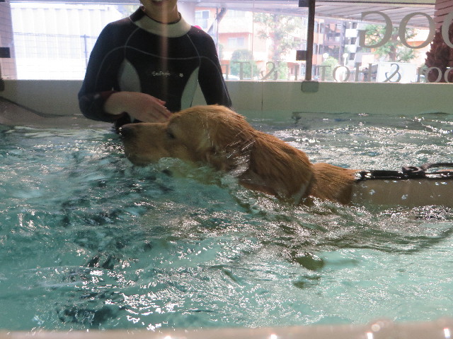 ファイル 7274-3.jpg