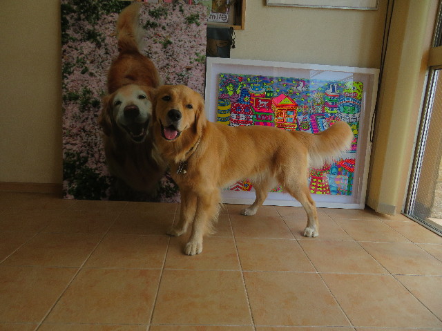 ファイル 7275-1.jpg