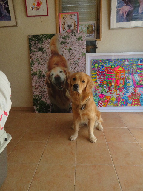 ファイル 7275-2.jpg