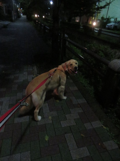 ファイル 7276-1.jpg