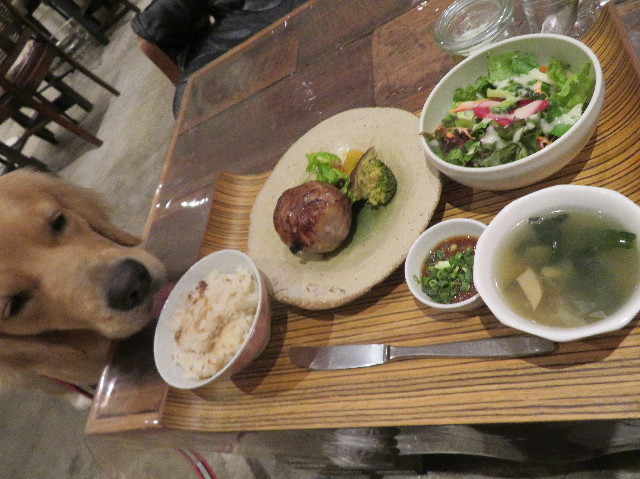 ファイル 7276-3.jpg