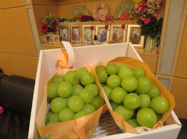 ファイル 7276-4.jpg