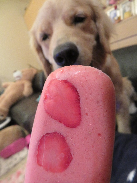 ファイル 7277-1.jpg