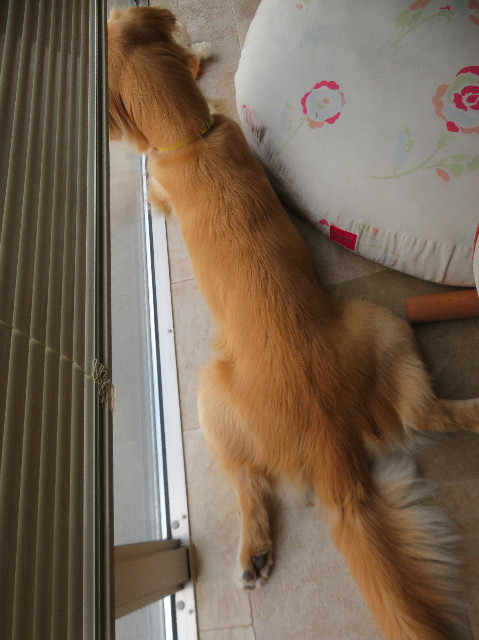 ファイル 7279-3.jpg