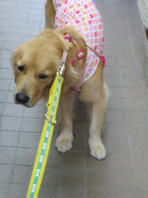 ファイル 7280-1.jpg