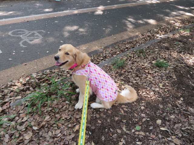 ファイル 7280-2.jpg