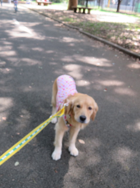 ファイル 7280-4.jpg