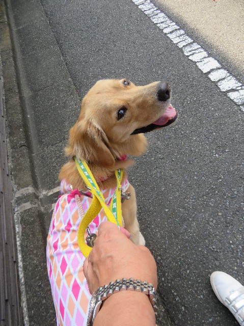 ファイル 7280-5.jpg