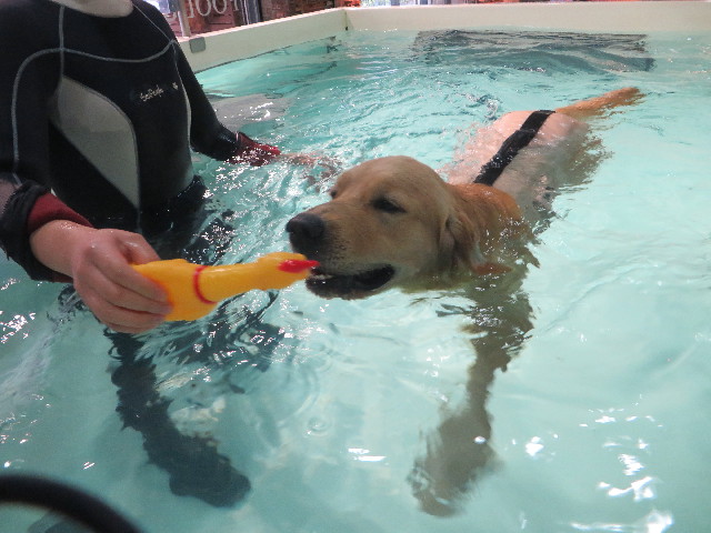 ファイル 7281-3.jpg