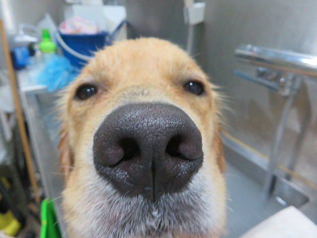 ファイル 7281-5.jpg