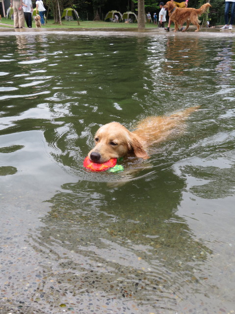 ファイル 7282-3.jpg