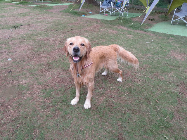 ファイル 7283-1.jpg