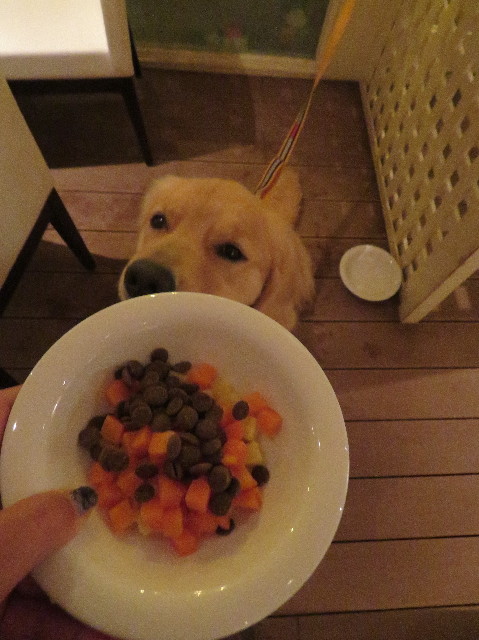 ファイル 7284-3.jpg