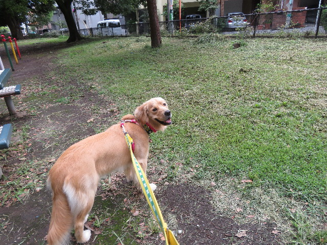 ファイル 7287-4.jpg