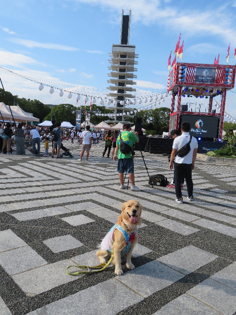 ファイル 7288-3.jpg