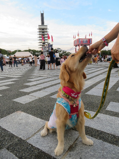 ファイル 7288-5.jpg