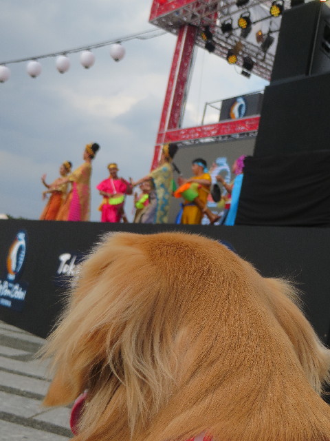 ファイル 7289-1.jpg