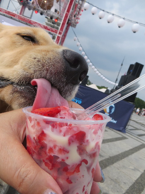 ファイル 7289-3.jpg