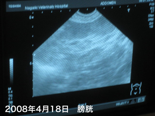 ファイル 729-3.jpg