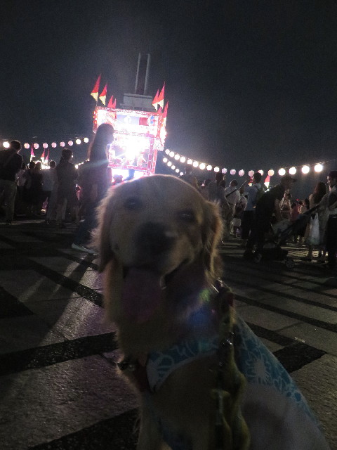 ファイル 7290-3.jpg