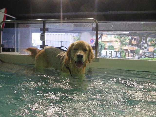 ファイル 7291-2.jpg