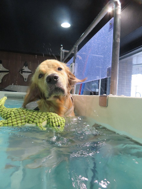 ファイル 7291-3.jpg