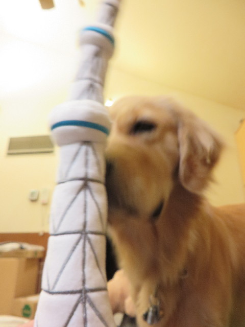 ファイル 7296-1.jpg