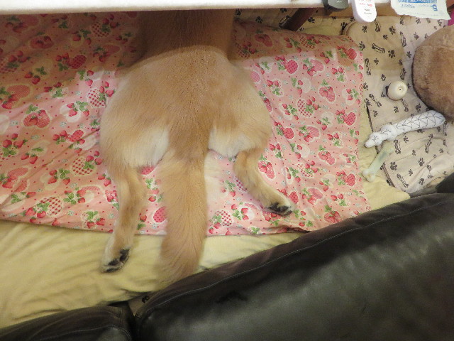 ファイル 7296-5.jpg