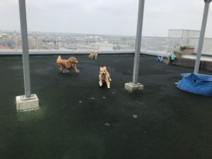 ファイル 7297-1.jpg