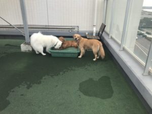 ファイル 7297-2.jpg