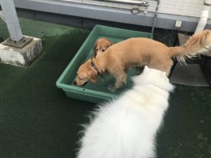 ファイル 7297-3.jpg