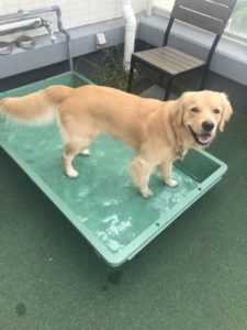 ファイル 7297-5.jpg