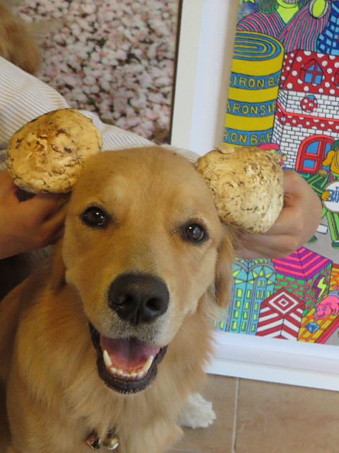 ファイル 7298-2.jpg