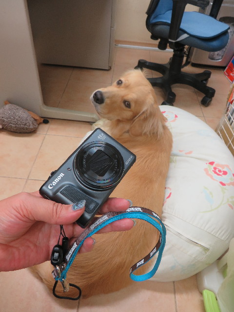 ファイル 7299-2.jpg