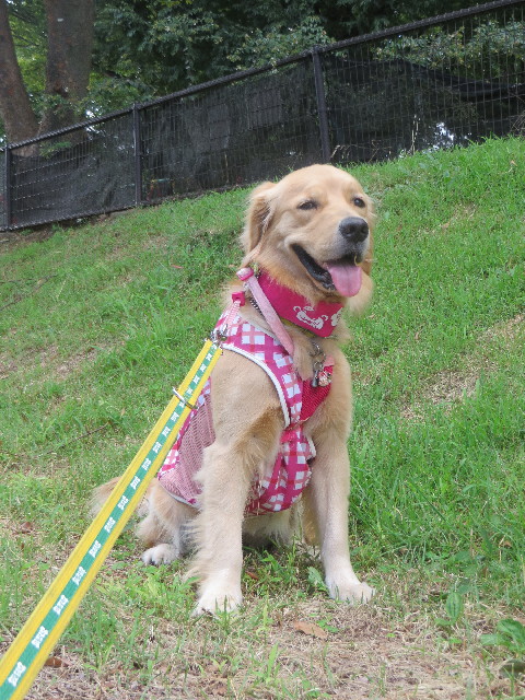 ファイル 7299-3.jpg