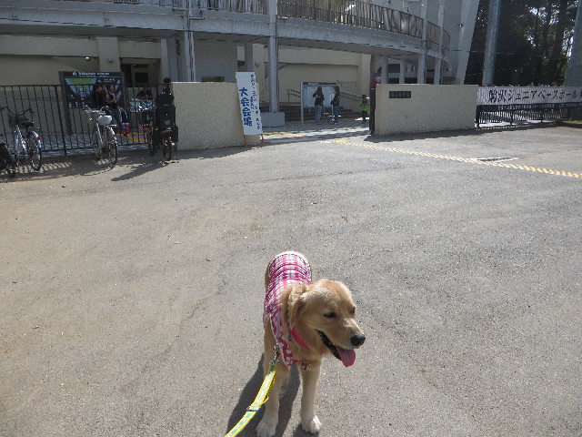 ファイル 7299-4.jpg