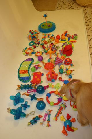 ファイル 73-2.jpg