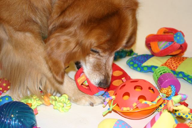 ファイル 73-3.jpg