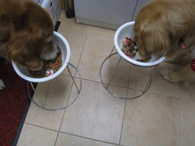 ファイル 730-2.jpg