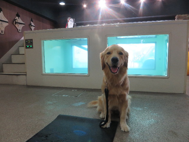 ファイル 7301-1.jpg